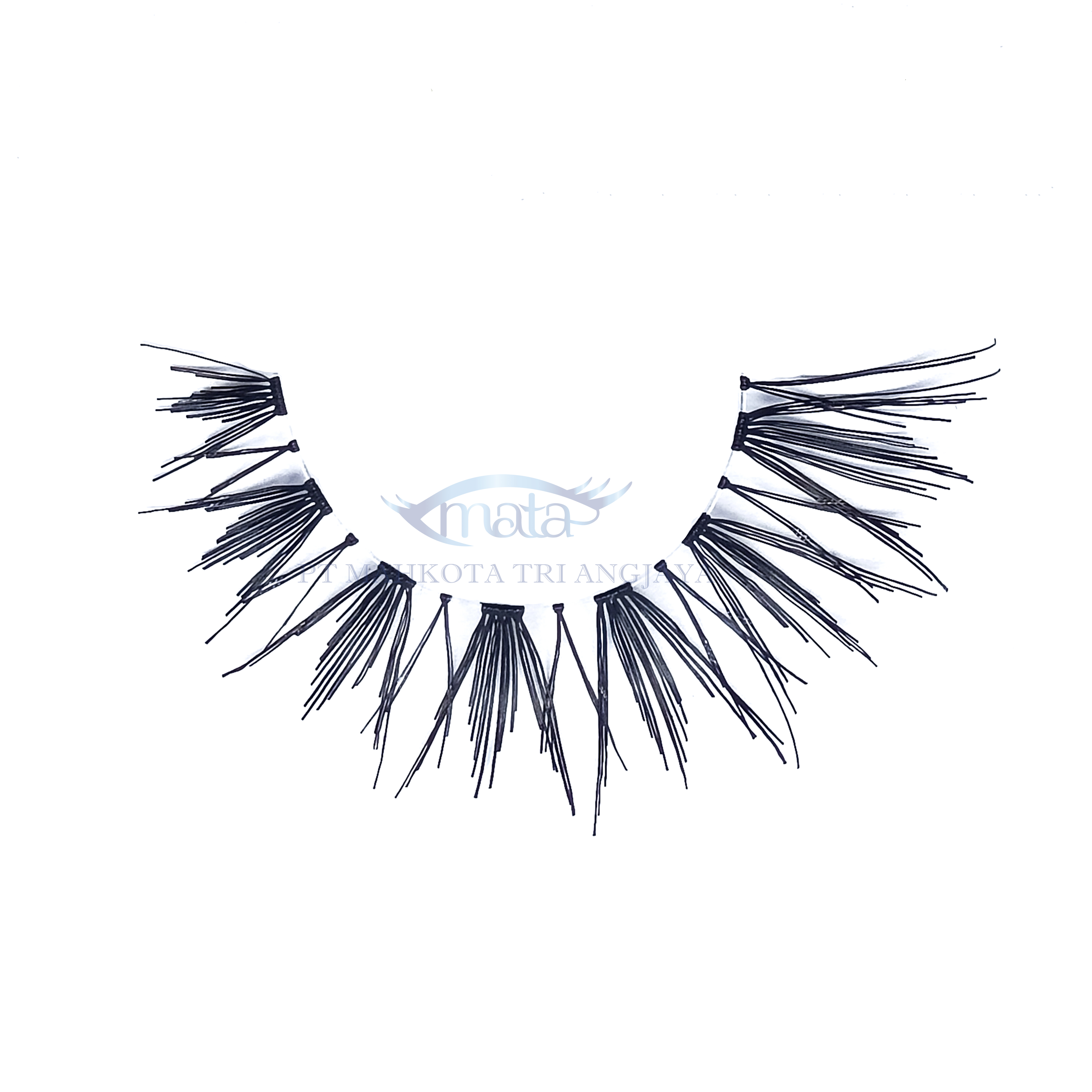 Natural Eyelashes